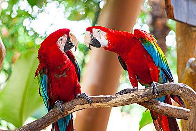 微软携手Crocs推出《我的世界》联名洞洞鞋